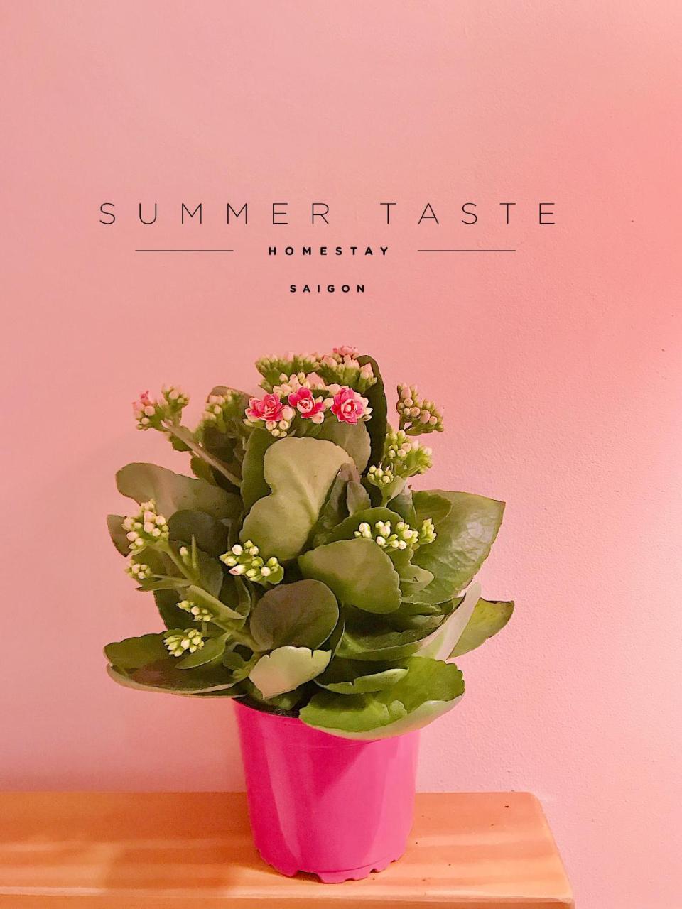 Summer Taste Homestay Thành Pho Ho Chí Minh Esterno foto